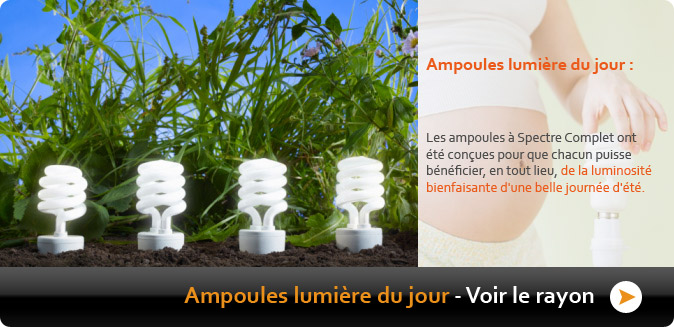 Ampoules lumi&egrave;re du jour douilles &agrave; vis ou bayonette