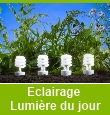 Ampoules lumière du jour Ampoules lumière du jour