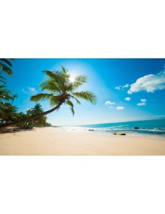 Décor Seul Dalle LED OASIS 60x120 Personnalisable