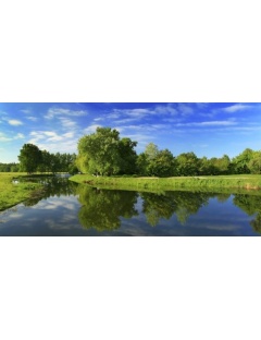 Décor Seul Dalle LED OASIS 60x120 Personnalisable