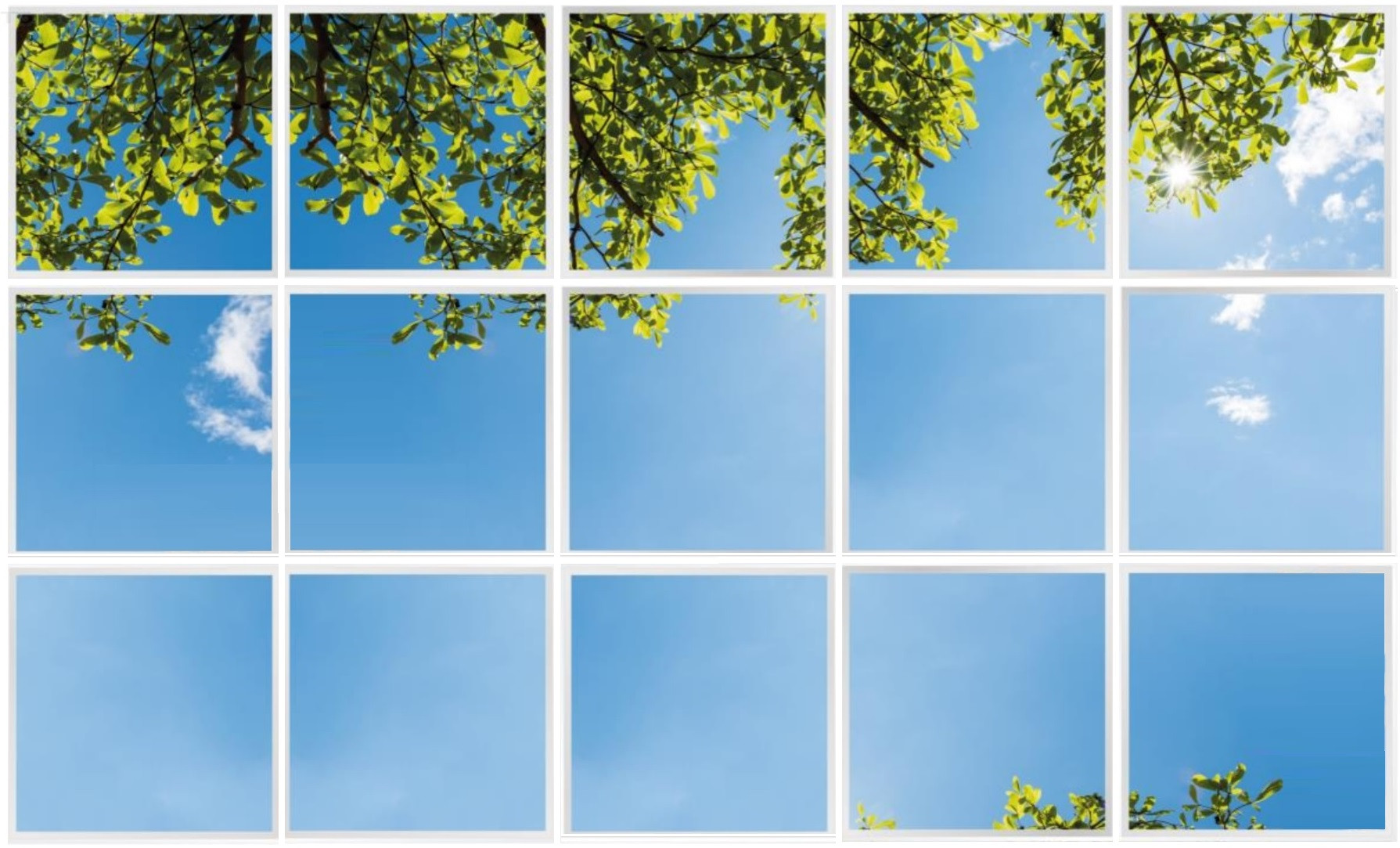 Pack 15 Dalles LED OASIS 60x60 personnalisables