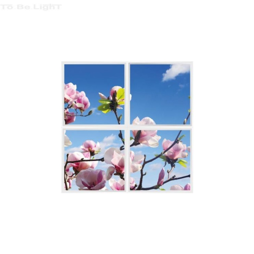 Pack 4 x Dalles LED OASIS 60x60  #magnolia