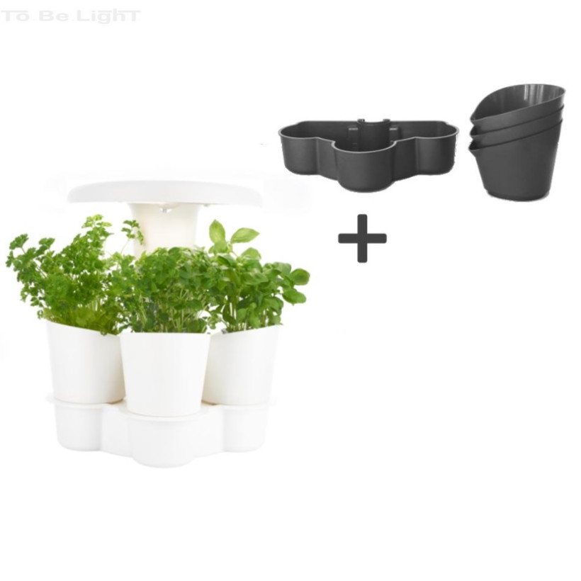 CALLA Garden LED Pack 