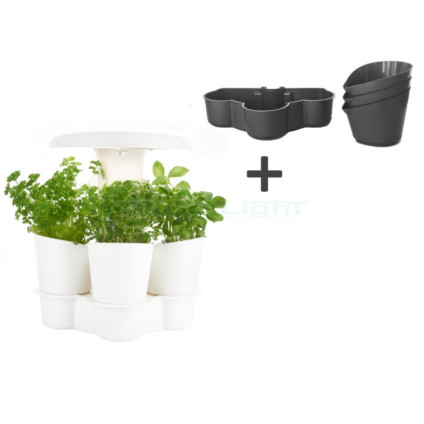 CALLA Garden LED Pack 