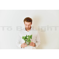 CALLA potager d'intérieur