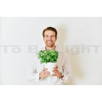 CALLA potager d'intérieur