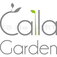CALLA potager d'intérieur